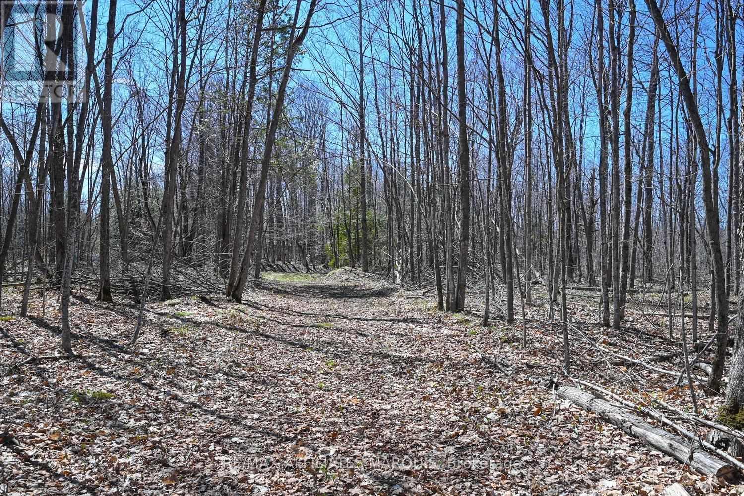 375 Ferguson Tetlock Road, Montague, Ontario  K7A 4S4 - Photo 43 - X13032594