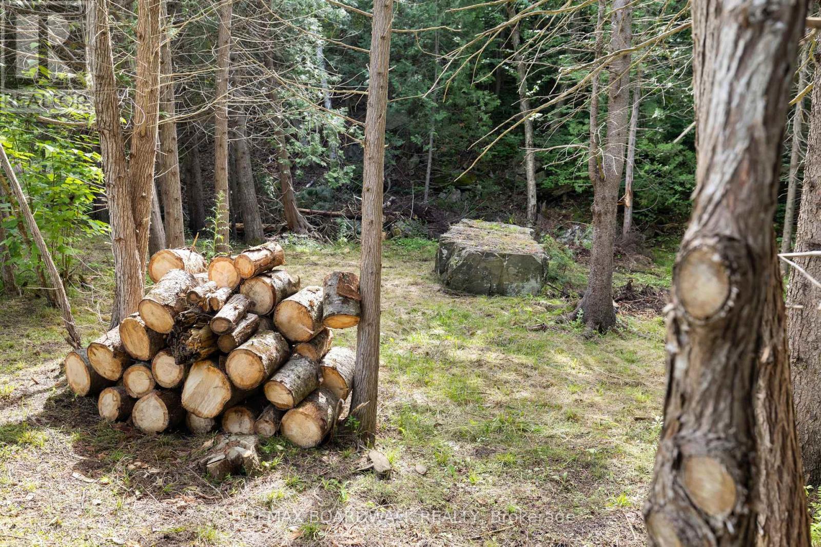 24163 Highway 7 Highway, Frontenac, Ontario  K0H 2P0 - Photo 43 - X13043290