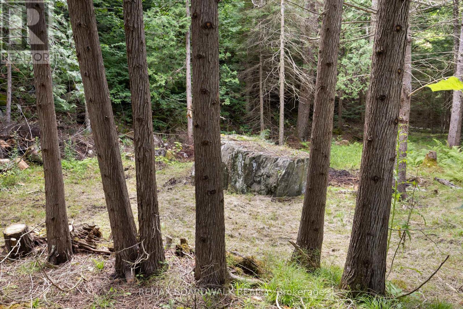 24163 Highway 7 Highway, Frontenac, Ontario  K0H 2P0 - Photo 45 - X13043290