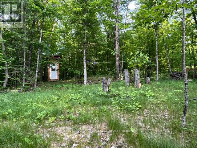 117 Raycroft Peninsula, Lanark Highlands, Ontario  K0A 3L0 - Photo 22 - X13043980