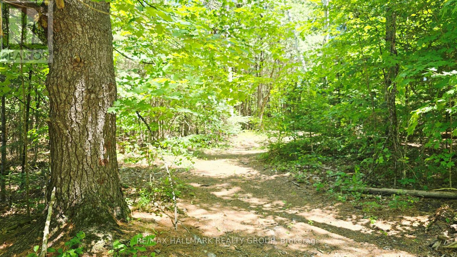 4318 Stonecrest Road, Ottawa, Ontario  K0A 3M0 - Photo 30 - X13059210