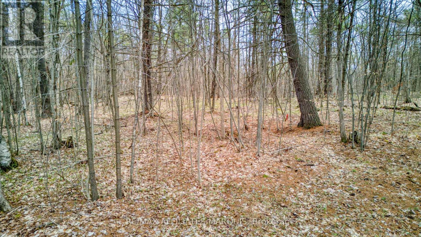 00 Highway 15 Road, Rideau Lakes, Ontario  K0G 1E0 - Photo 3 - X13061160