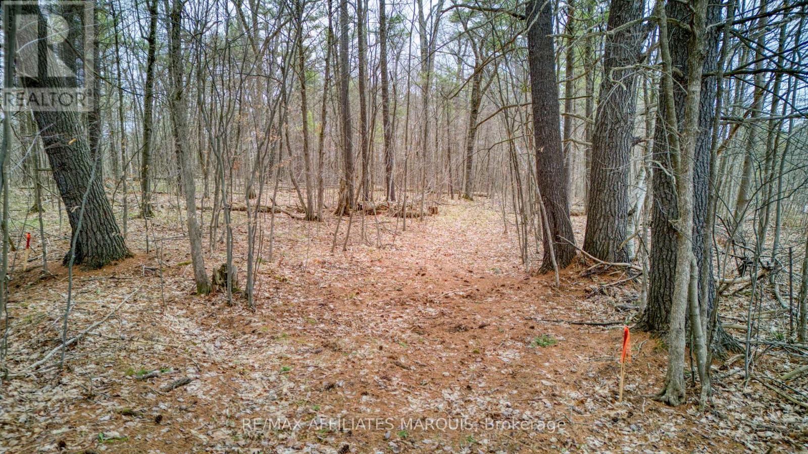 00 Highway 15 Road, Rideau Lakes, Ontario  K0G 1E0 - Photo 4 - X13061160