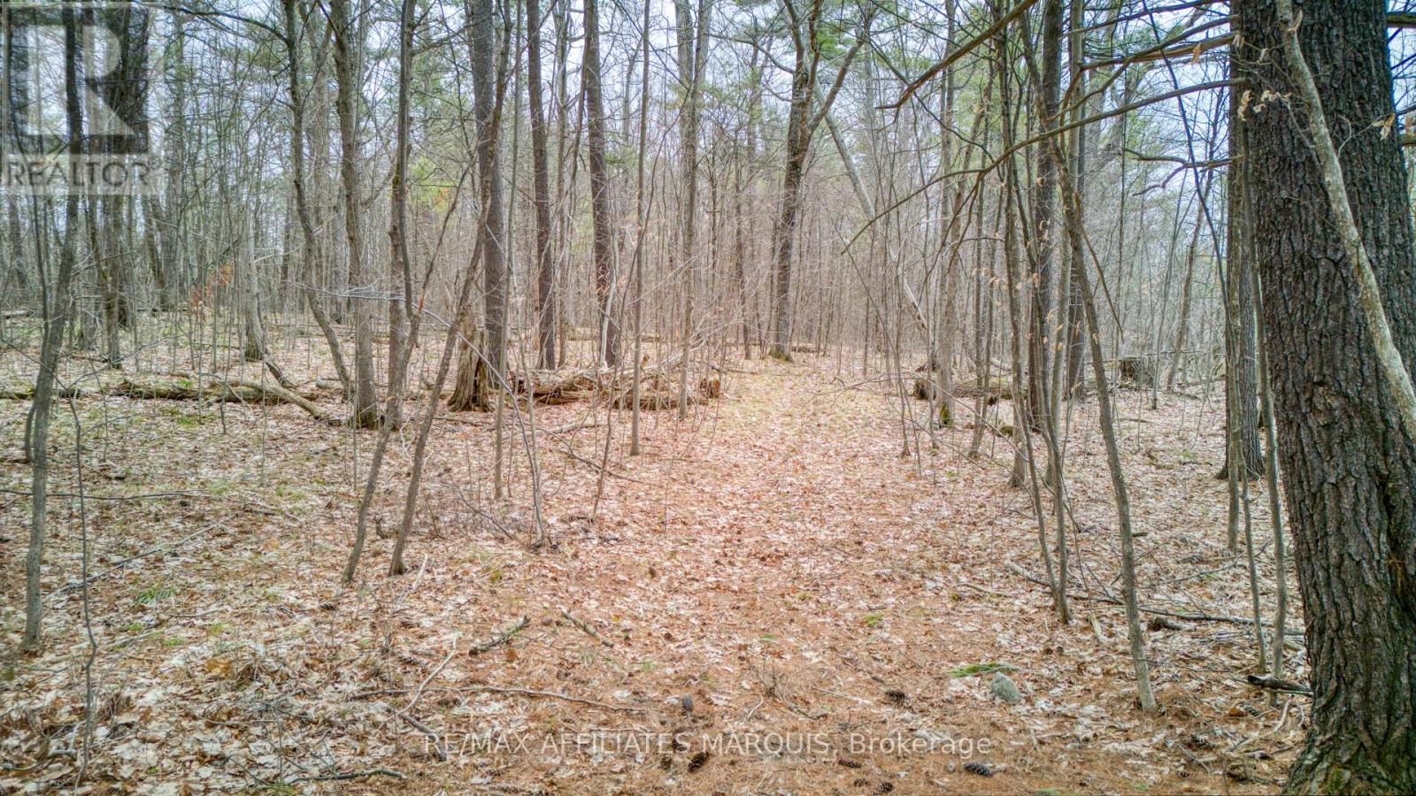 00 Highway 15 Road, Rideau Lakes, Ontario  K0G 1E0 - Photo 5 - X13061160