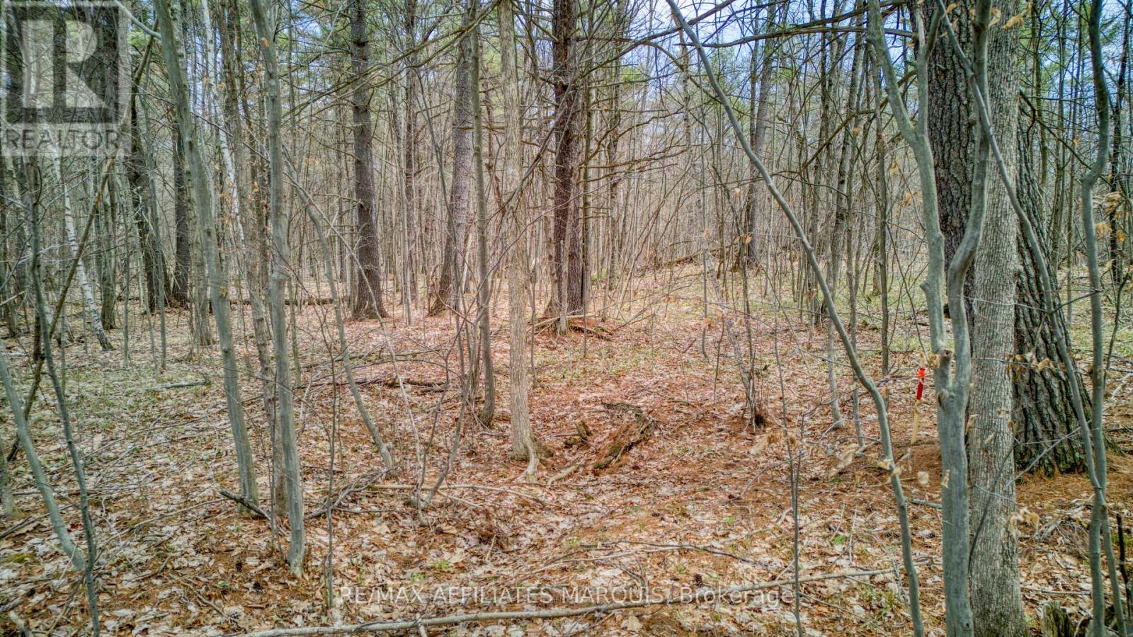 0 Highway 15 Road, Rideau Lakes, Ontario  K0G 1E0 - Photo 12 - X13061162