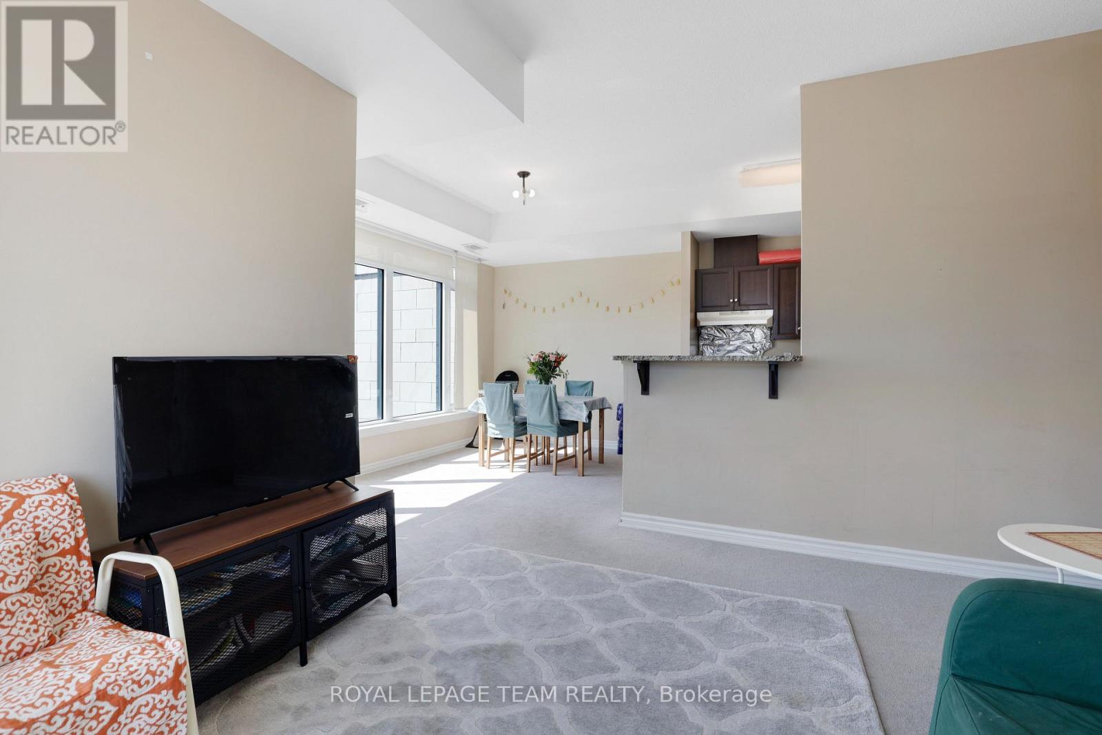 202 - 100 Roger Guindon Avenue, Ottawa, Ontario  K1G 3Z7 - Photo 18 - X13063650