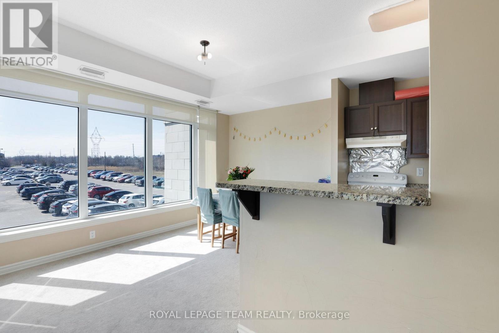 202 - 100 Roger Guindon Avenue, Ottawa, Ontario  K1G 3Z7 - Photo 20 - X13063650