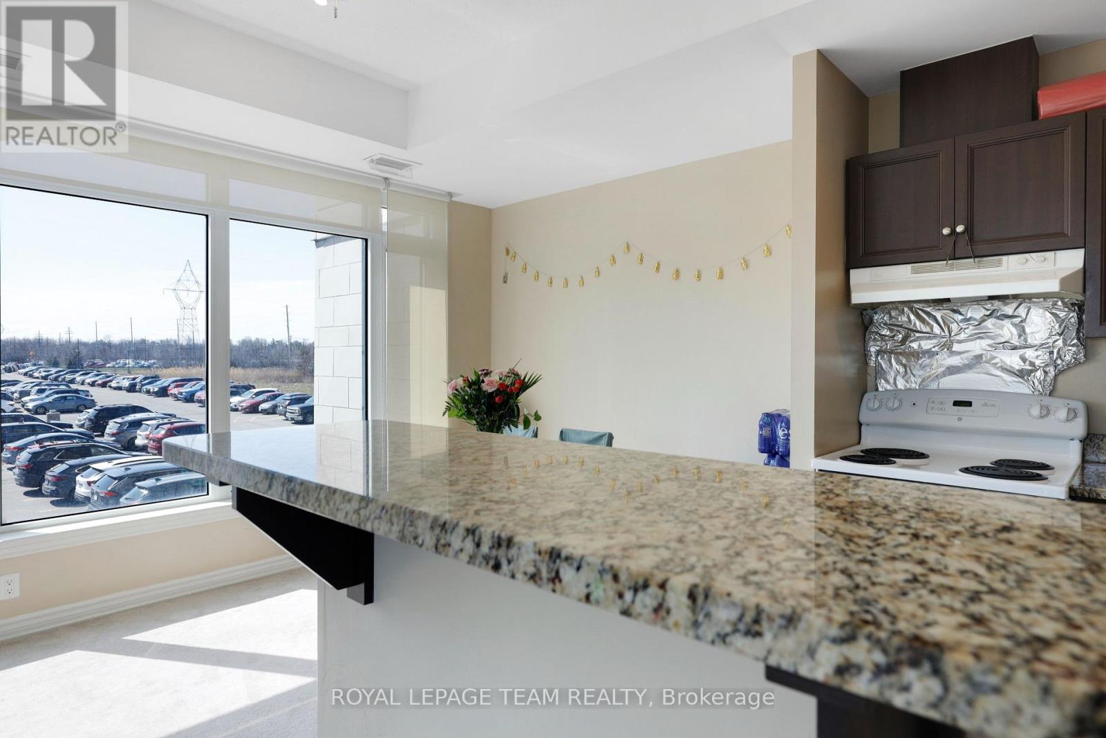 202 - 100 Roger Guindon Avenue, Ottawa, Ontario  K1G 3Z7 - Photo 21 - X13063650