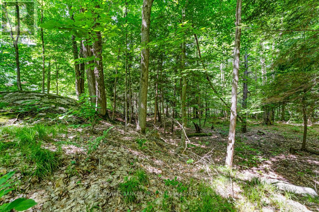 1102 Ebbs Bay Road, Drummond/north Elmsley, Ontario  K7C 0C5 - Photo 37 - X13066972