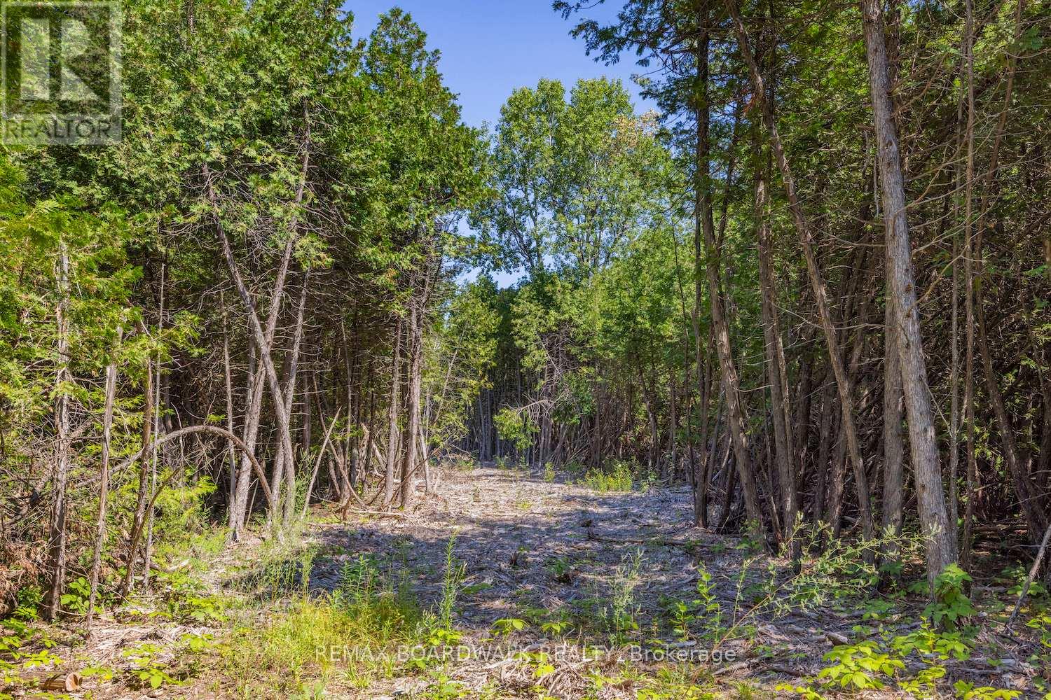 0 Forbes Road, North Grenville, Ontario  K0G 1N0 - Photo 2 - X13069758