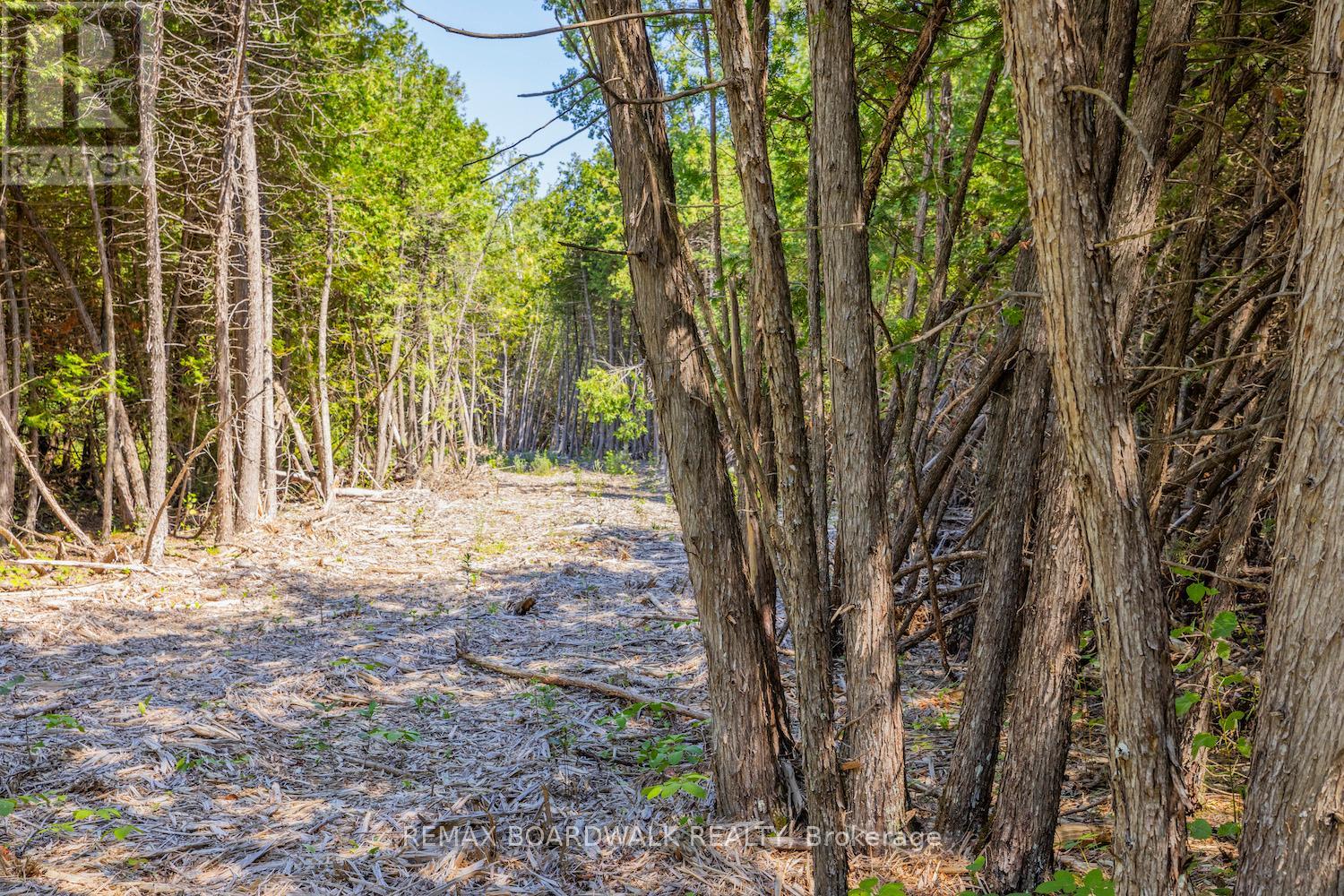 0 Forbes Road, North Grenville, Ontario  K0G 1N0 - Photo 4 - X13069758