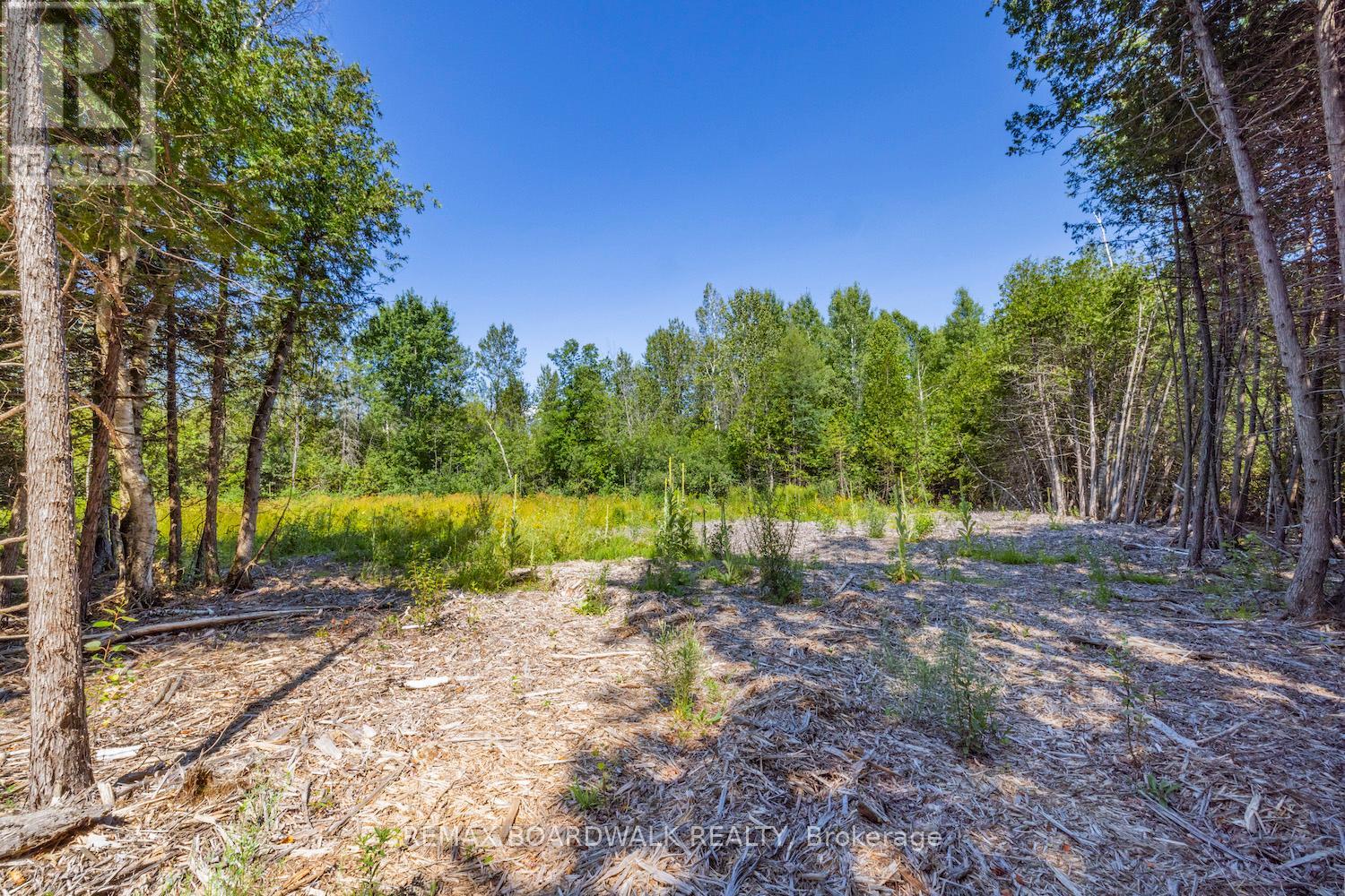 0 Forbes Road, North Grenville, Ontario  K0G 1N0 - Photo 6 - X13069758