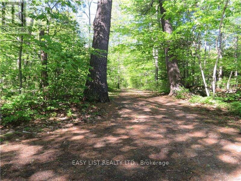 1390 River Road, Hastings Highlands, Ontario  K0L 1Y0 - Photo 21 - X13073232