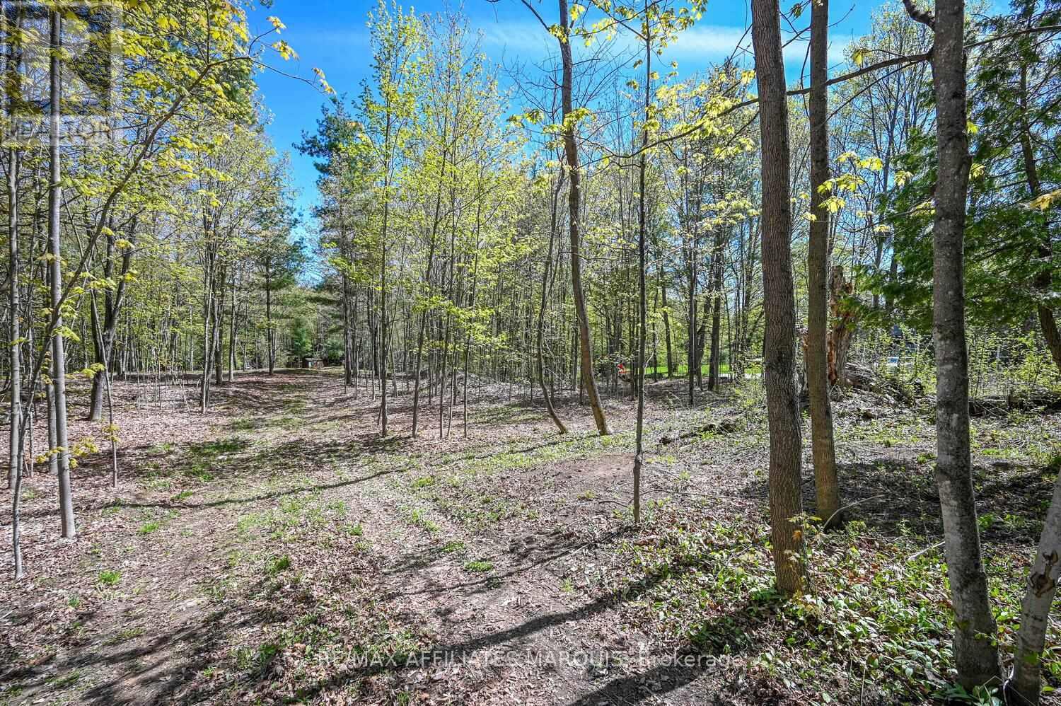 00 Scotch Line Road, Tay Valley, Ontario  K7H 3C5 - Photo 10 - X13078490