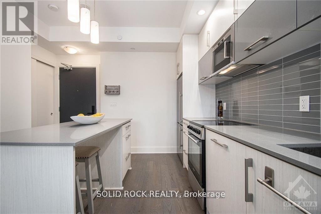 213 - 255 Bay Street, Ottawa, Ontario  K1R 5Z4 - Photo 14 - X13079826