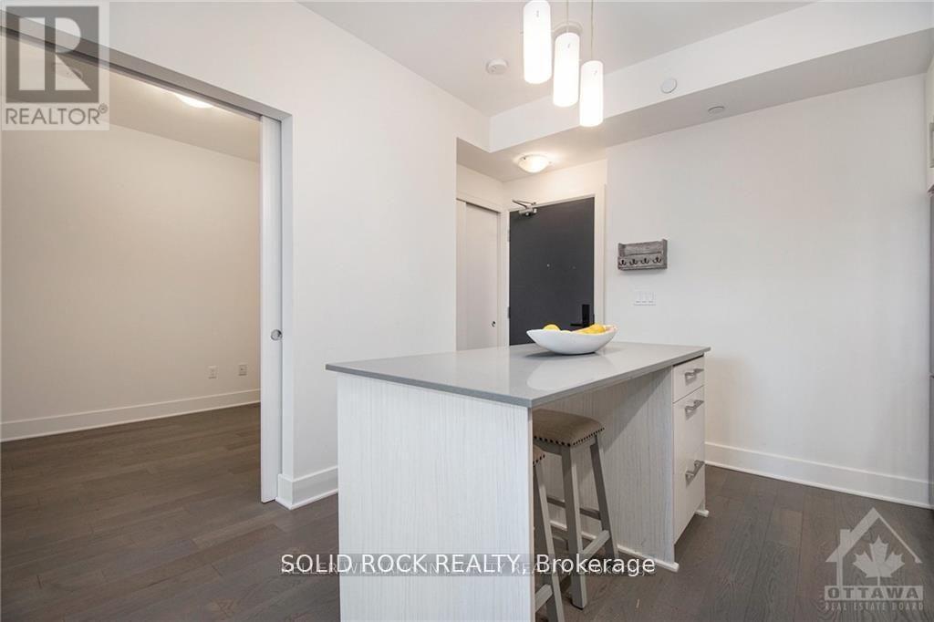 213 - 255 Bay Street, Ottawa, Ontario  K1R 5Z4 - Photo 15 - X13079826