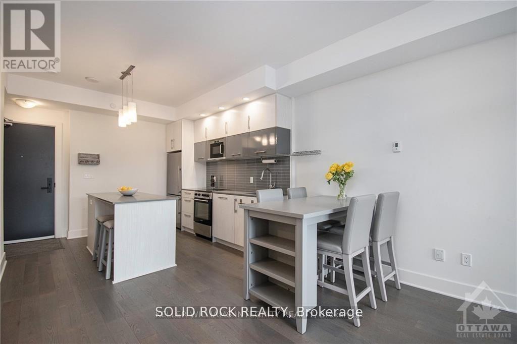 213 - 255 Bay Street, Ottawa, Ontario  K1R 5Z4 - Photo 3 - X13079826