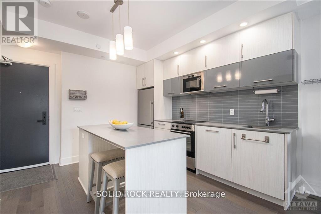 213 - 255 Bay Street, Ottawa, Ontario  K1R 5Z4 - Photo 5 - X13079826