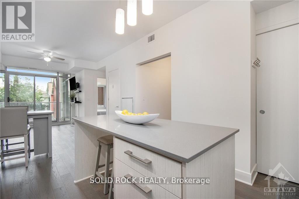 213 - 255 Bay Street, Ottawa, Ontario  K1R 5Z4 - Photo 7 - X13079826