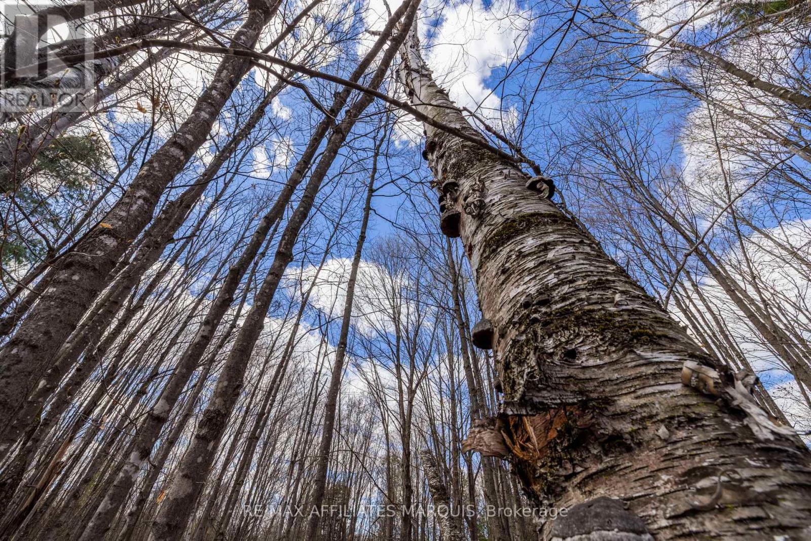 00 Mahon Road, Rideau Lakes, Ontario  K0G 1L0 - Photo 14 - X13080164