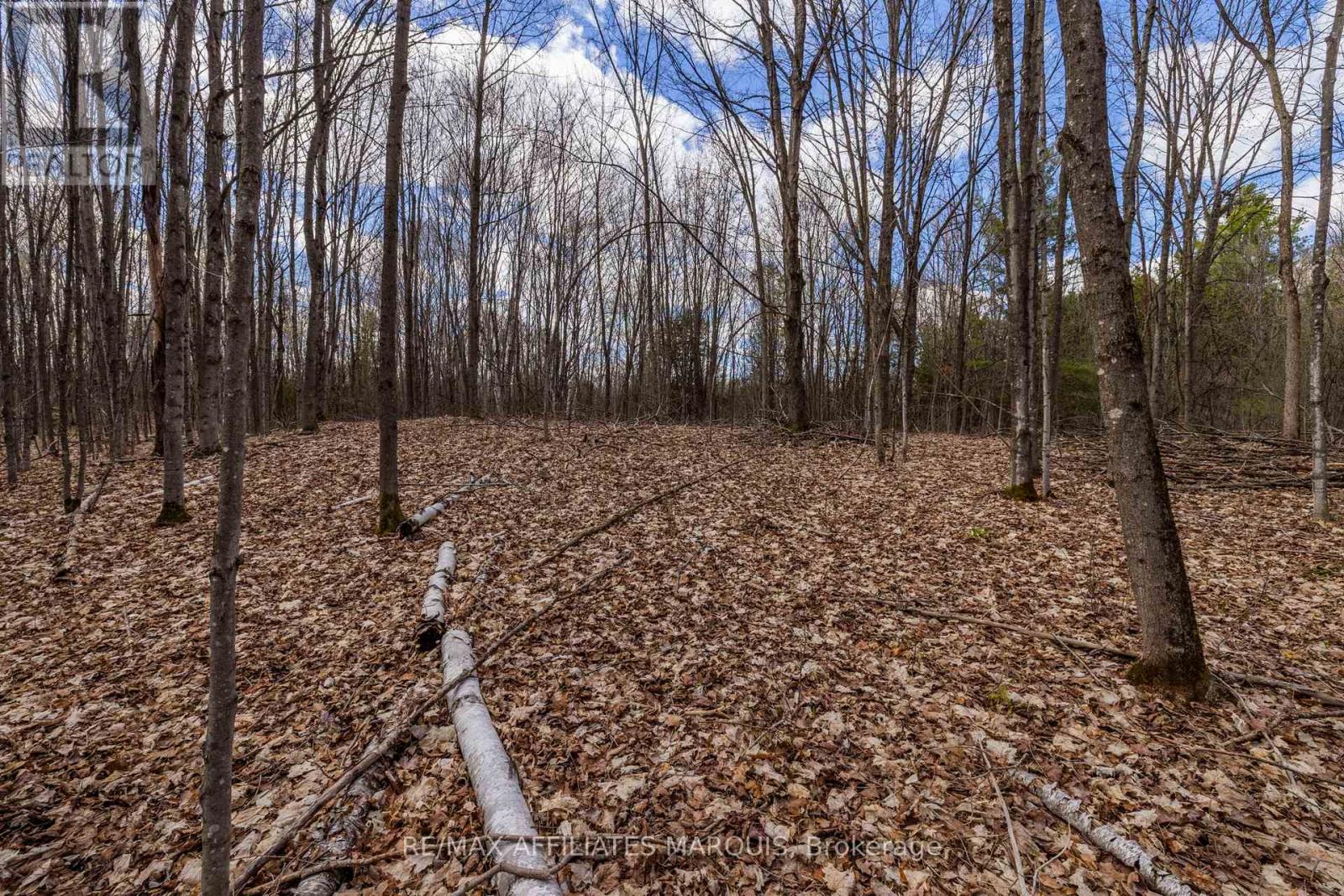 00 Mahon Road, Rideau Lakes, Ontario  K0G 1L0 - Photo 17 - X13080164