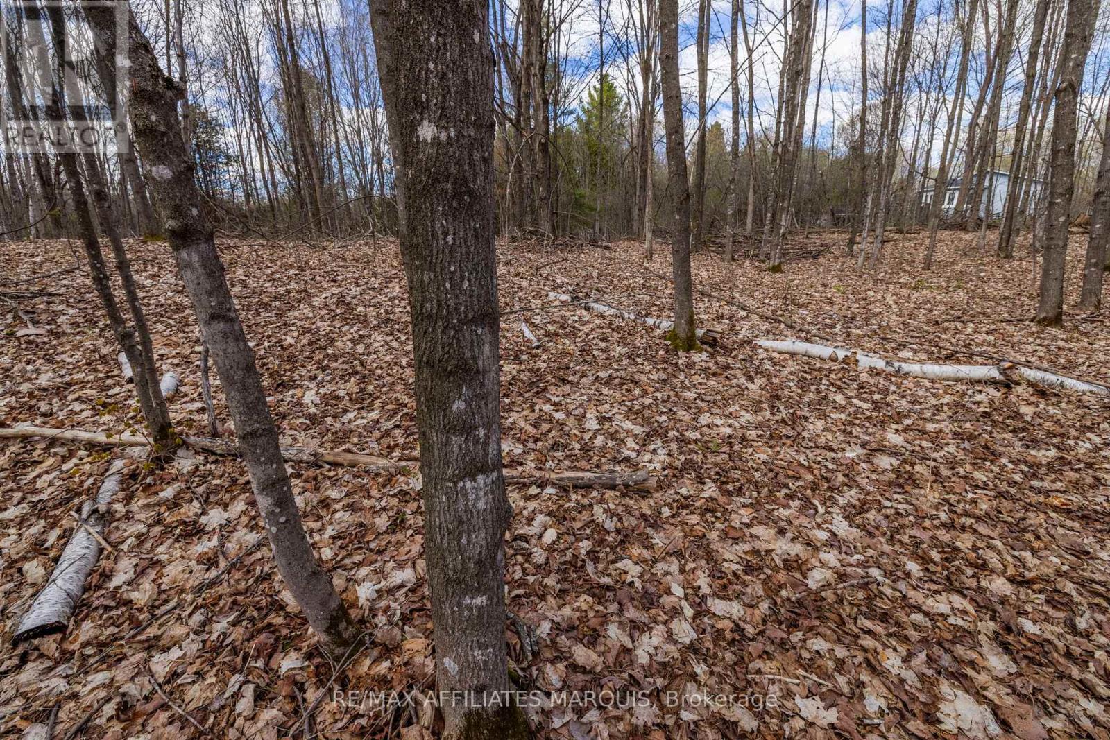 00 Mahon Road, Rideau Lakes, Ontario  K0G 1L0 - Photo 19 - X13080164