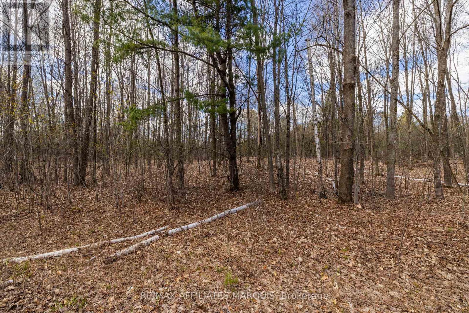00 Mahon Road, Rideau Lakes, Ontario  K0G 1L0 - Photo 20 - X13080164