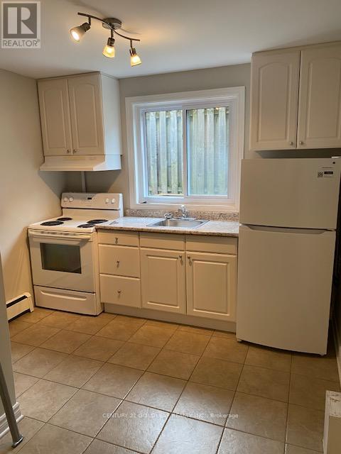 543 Kirkwood Avenue, Ottawa, Ontario  K1Z 5X2 - Photo 11 - X13080986