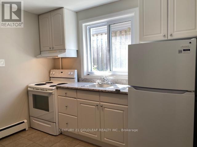 543 Kirkwood Avenue, Ottawa, Ontario  K1Z 5X2 - Photo 13 - X13080986