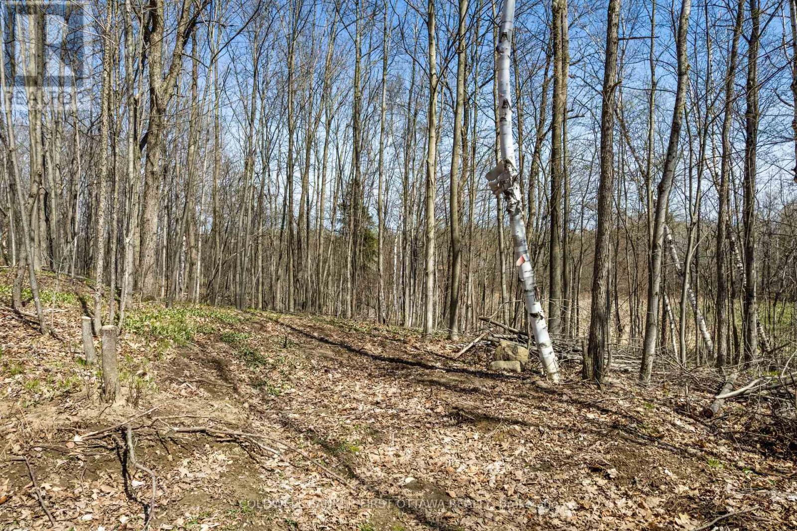 1089 Wagner Road, Frontenac, Ontario  K0H 2P0 - Photo 17 - X13085002