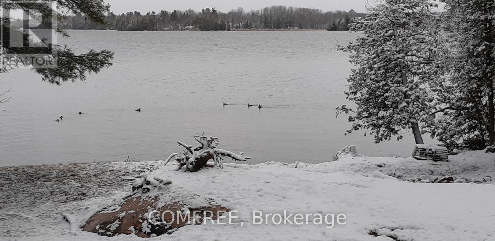 1005 Hoyle Lane W, Frontenac, Ontario  K0H 2B0 - Photo 45 - X13093208