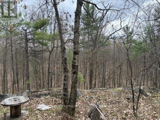 Part Lot 26 Highway 36 Road, Rideau Lakes, Ontario  K0G 1X0 - Photo 13 - X13104618