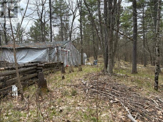 Part Lot 26 Highway 36 Road, Rideau Lakes, Ontario  K0G 1X0 - Photo 21 - X13104618
