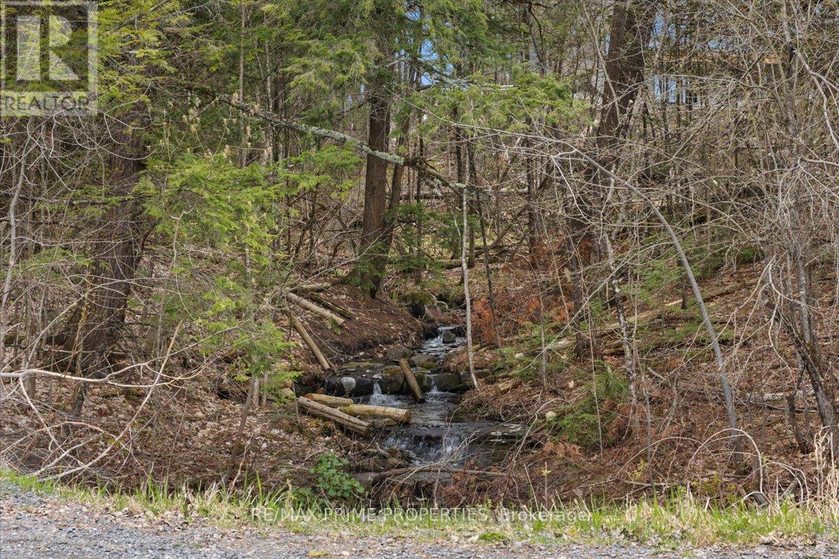517 Wilson Road, Clarence-Rockland, Ontario  K4K 1K7 - Photo 35 - X13115788