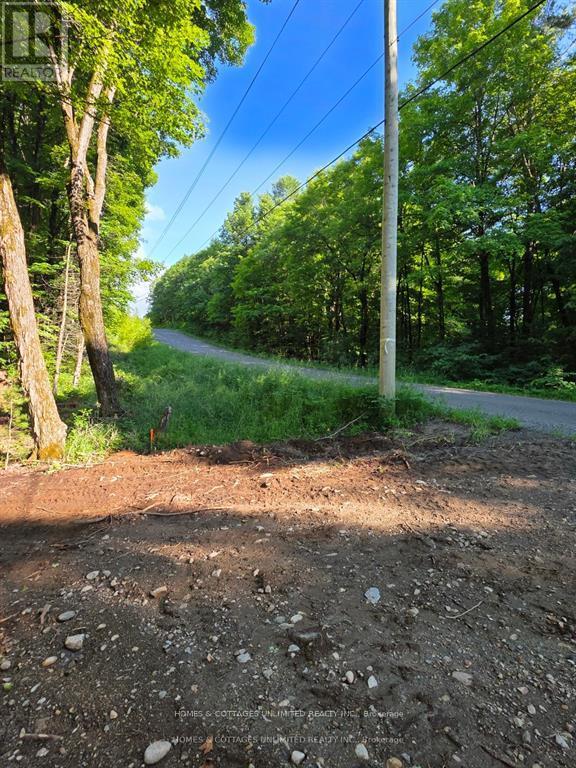 2456 Conc Dalhousie Concession, Lanark Highlands, Ontario  K0G 1K0 - Photo 2 - X13116438