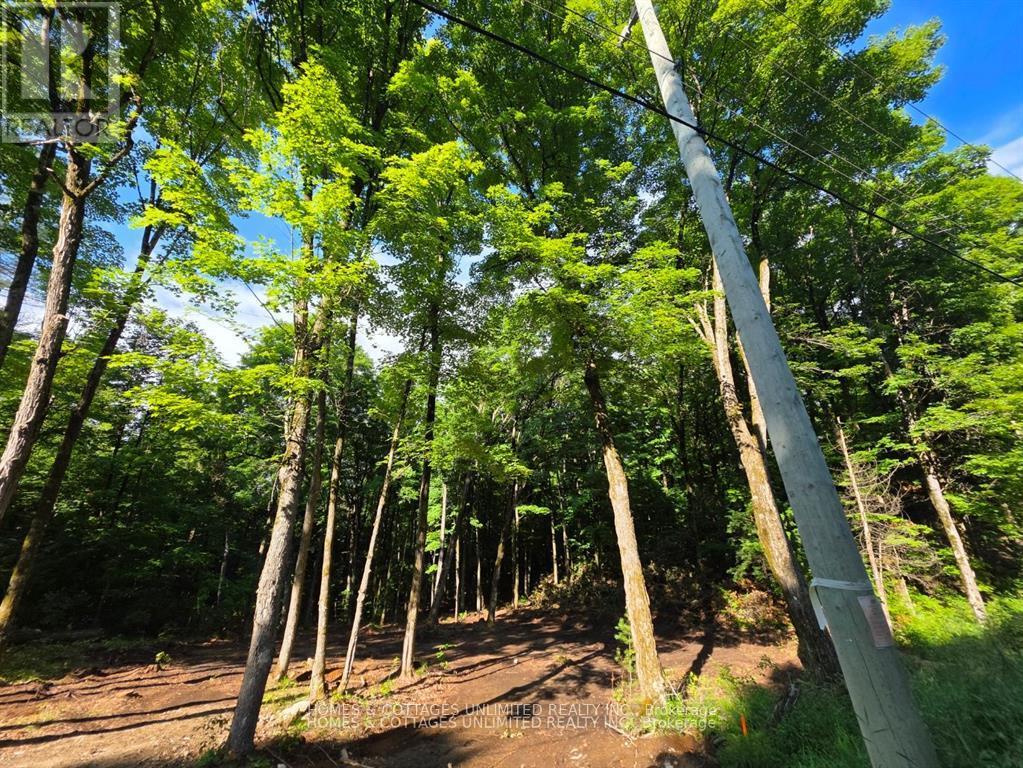 2456 Conc Dalhousie Concession, Lanark Highlands, Ontario  K0G 1K0 - Photo 3 - X13116438