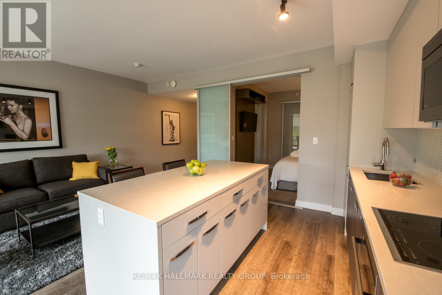 210 - 111 Champagne Avenue, Ottawa, Ontario  K1S 5V3 - Photo 14 - X13118756