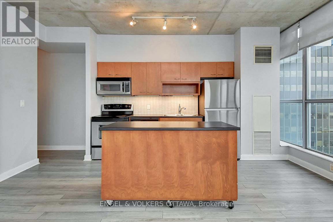 1008 - 179 George Street, Ottawa, Ontario  K1N 1J8 - Photo 14 - X13120512