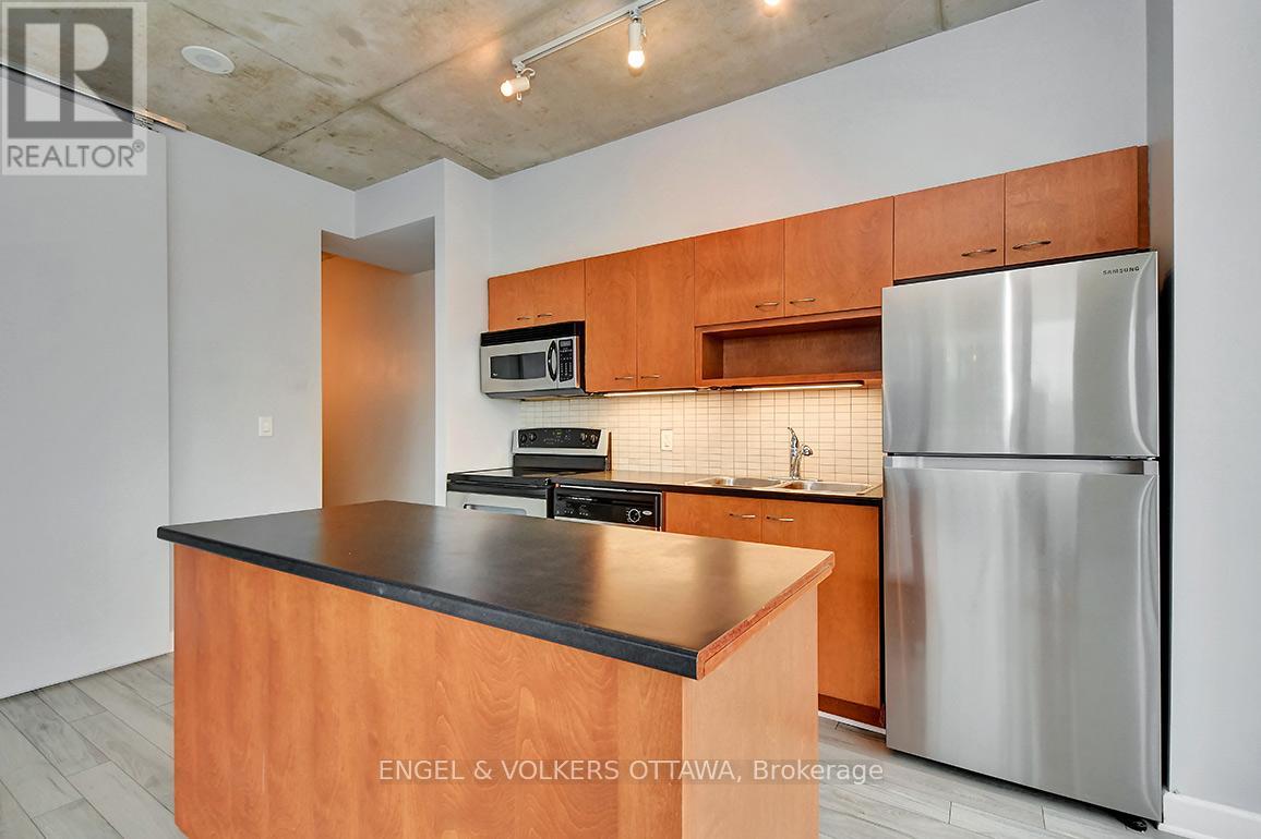 1008 - 179 George Street, Ottawa, Ontario  K1N 1J8 - Photo 17 - X13120512