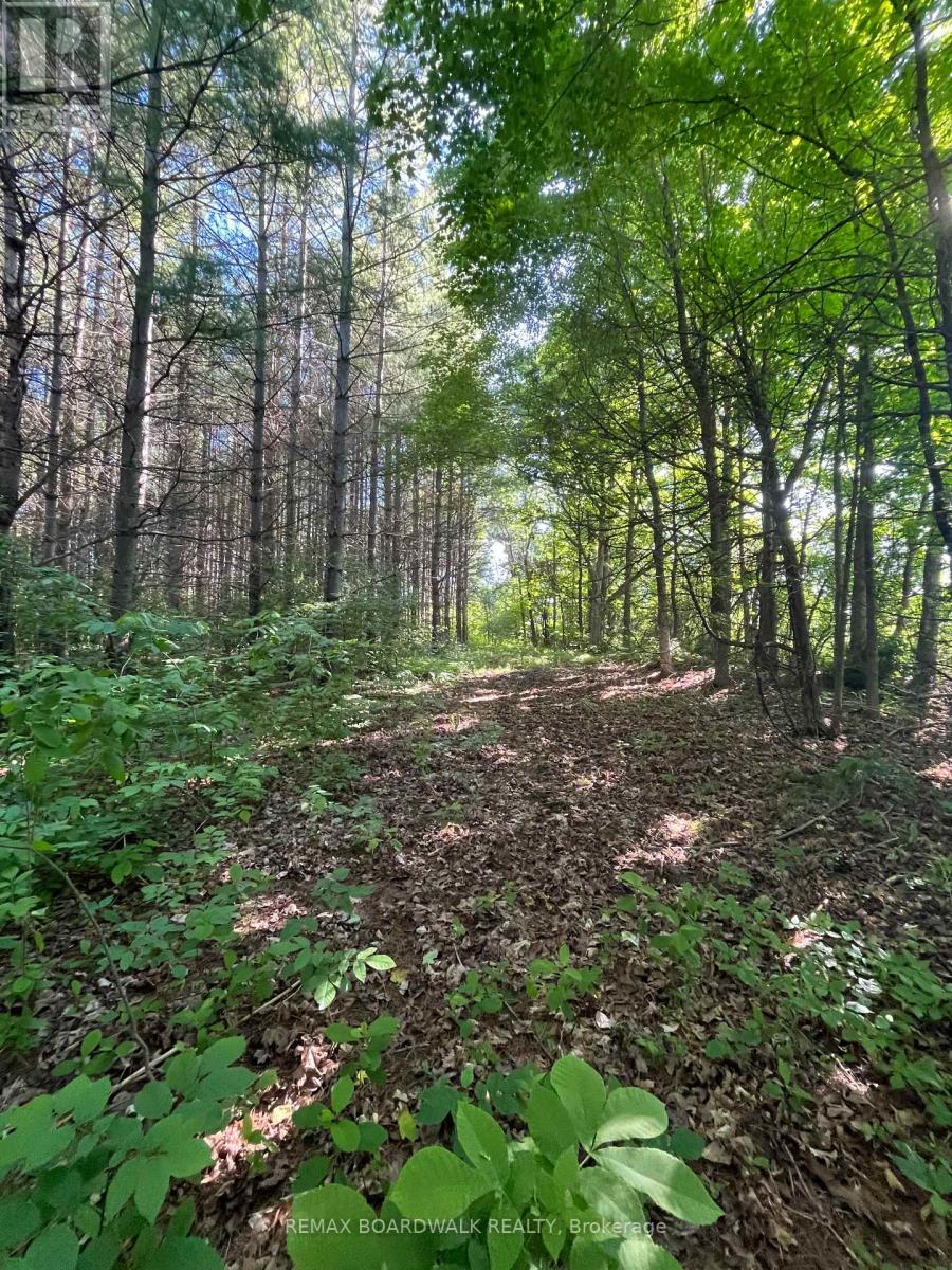 2213 County Rd 21 Road, Edwardsburgh/cardinal, Ontario  K0E 1X0 - Photo 34 - X13122396