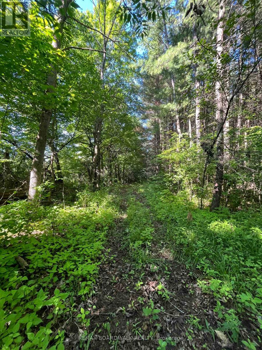 2213 County Rd 21 Road, Edwardsburgh/cardinal, Ontario  K0E 1X0 - Photo 37 - X13122396