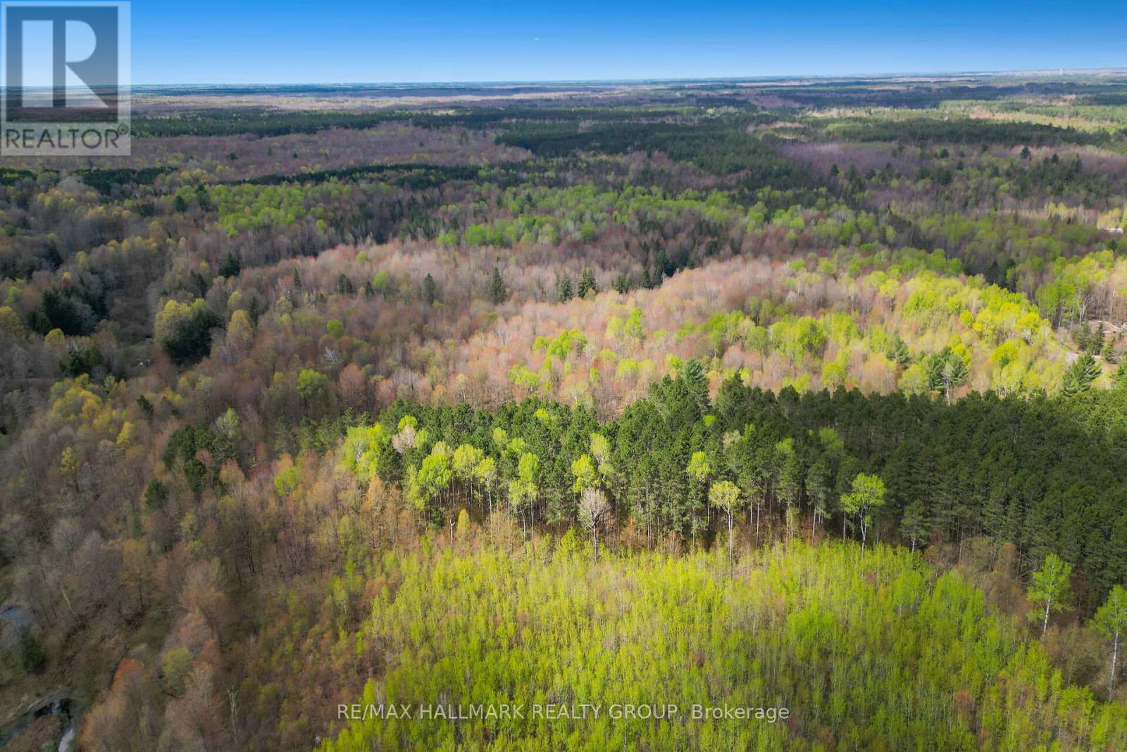 320 Clarence Cambridge Road, The Nation, Ontario  K4R 1E5 - Photo 12 - X13130202