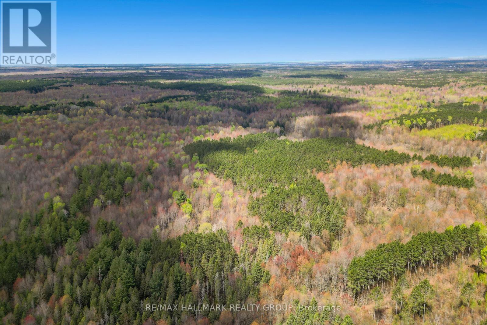 320 Clarence Cambridge Road, The Nation, Ontario  K4R 1E5 - Photo 14 - X13130202