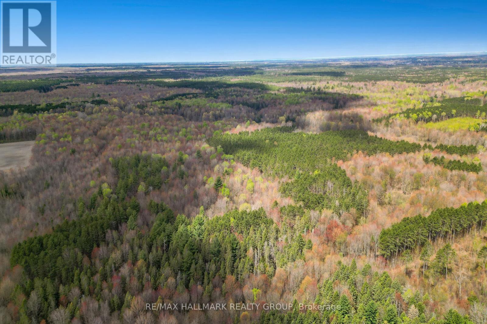 320 Clarence Cambridge Road, The Nation, Ontario  K4R 1E5 - Photo 15 - X13130202