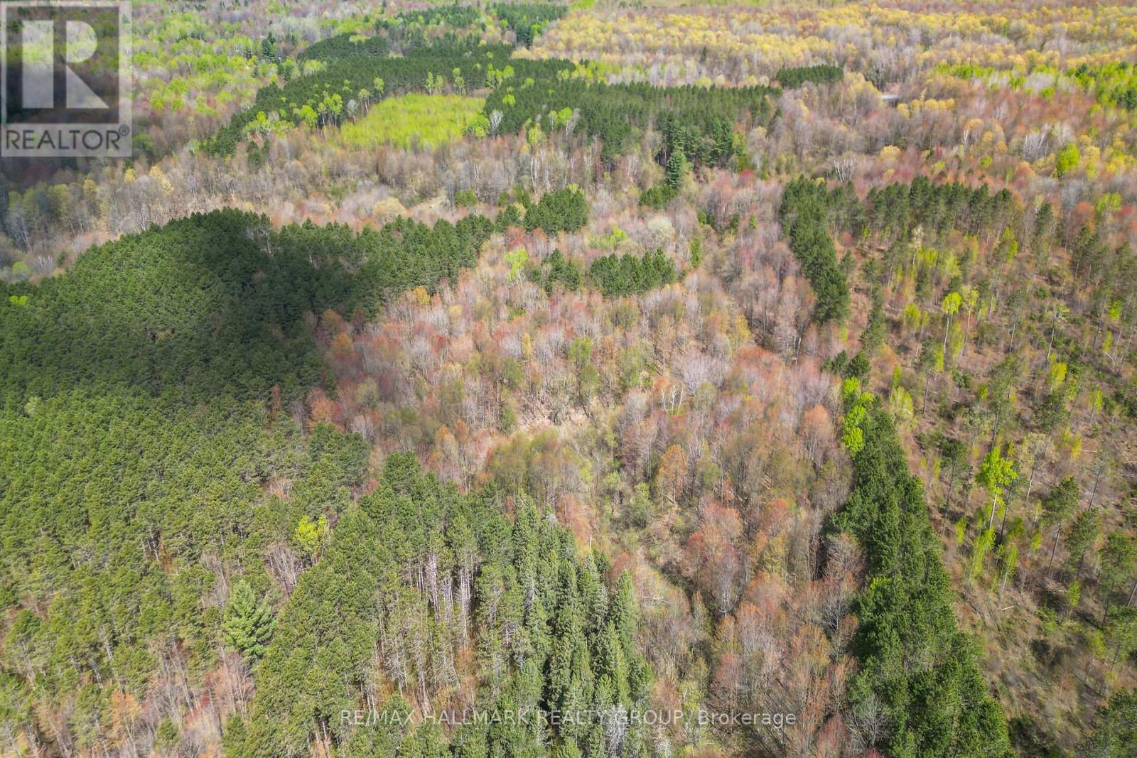 320 Clarence Cambridge Road, The Nation, Ontario  K4R 1E5 - Photo 16 - X13130202