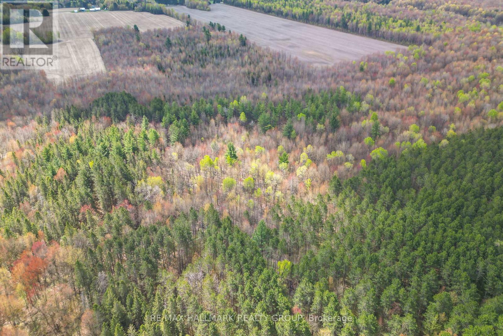 320 Clarence Cambridge Road, The Nation, Ontario  K4R 1E5 - Photo 18 - X13130202
