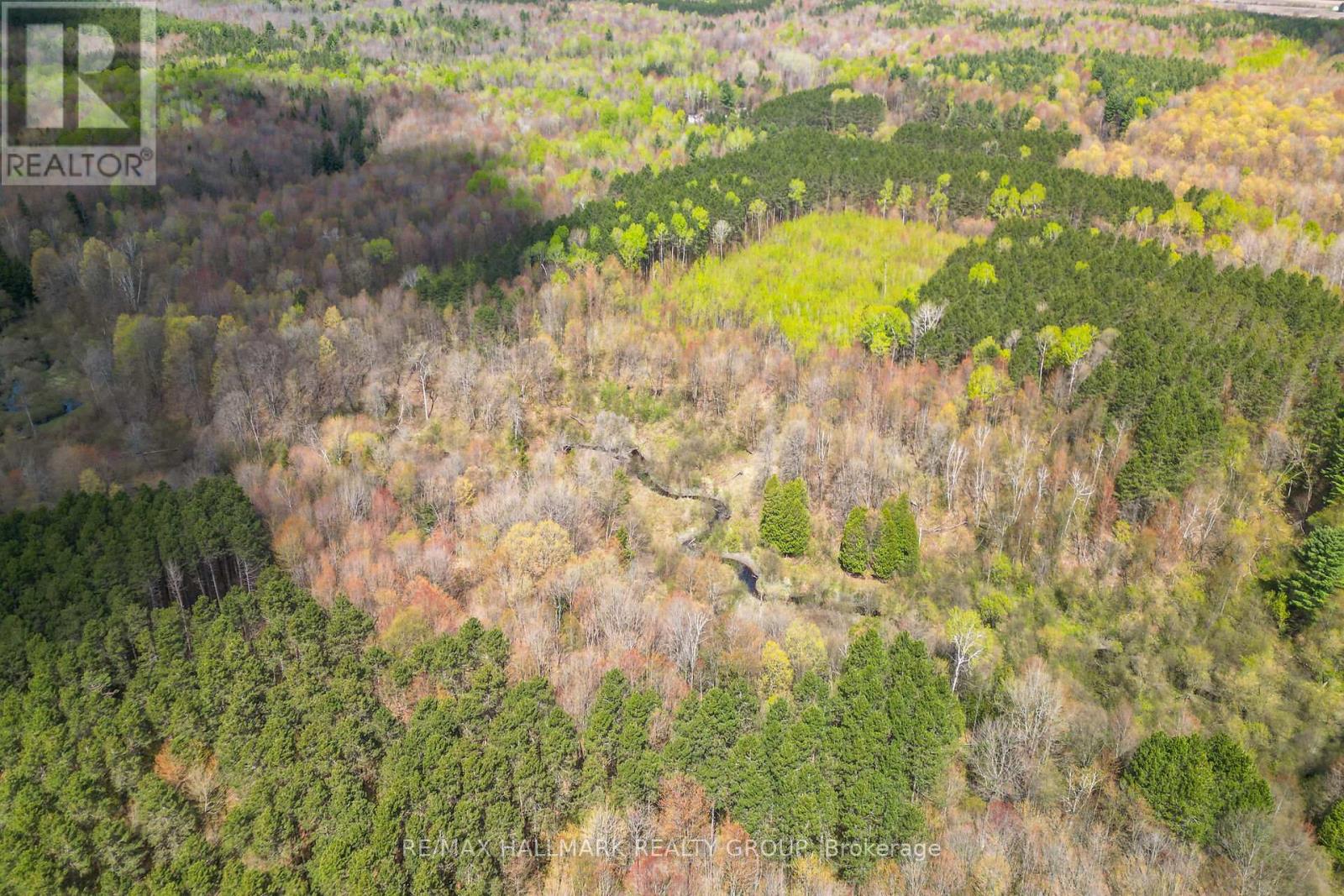 320 Clarence Cambridge Road, The Nation, Ontario  K4R 1E5 - Photo 19 - X13130202