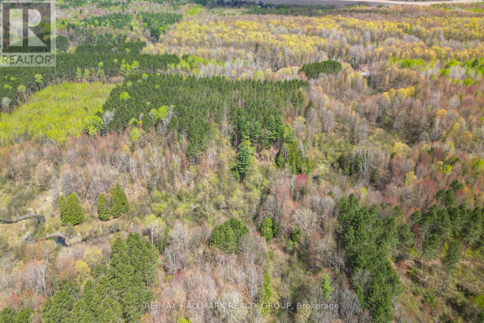320 Clarence Cambridge Road, The Nation, Ontario  K4R 1E5 - Photo 20 - X13130202