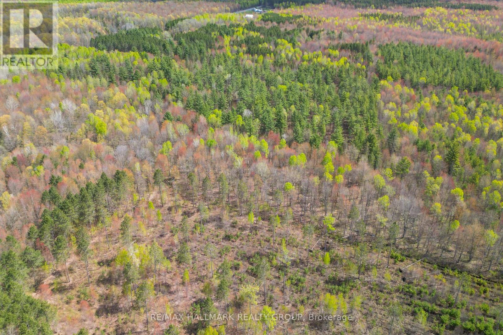 320 Clarence Cambridge Road, The Nation, Ontario  K4R 1E5 - Photo 21 - X13130202