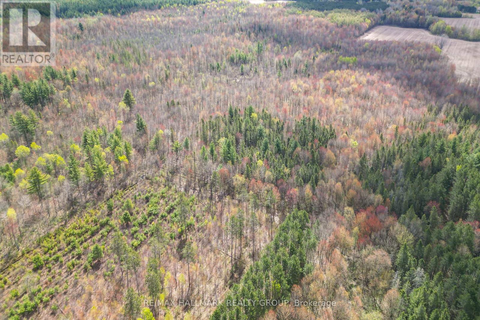 320 Clarence Cambridge Road, The Nation, Ontario  K4R 1E5 - Photo 23 - X13130202
